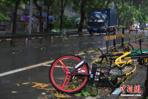 臺風(fēng)“天鴿”襲深圳 樹枝折斷公交車遇阻。 <a target='_blank' >中新社</a>記者 陳文 攝