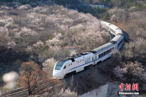 資料圖：北京居庸關(guān)京張鐵路和諧號(hào)列車穿過(guò)花海。<a target='_blank' >中新社</a>記者 廖攀 攝