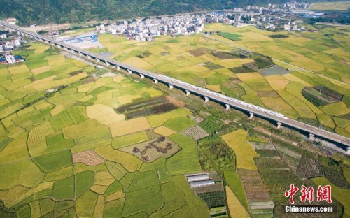 資料圖：一列動(dòng)車(chē)行駛在貴廣高鐵貴州省榕江縣郊外田野高架橋上。<a target='_blank' >中新社</a>記者 賀俊怡 攝