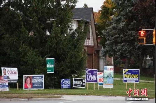 華人聚居區(qū)萬錦市（Markham）一處街頭，插著眾多參選人的競選廣告牌。<a target='_blank' >中新社</a>記者 余瑞冬 攝