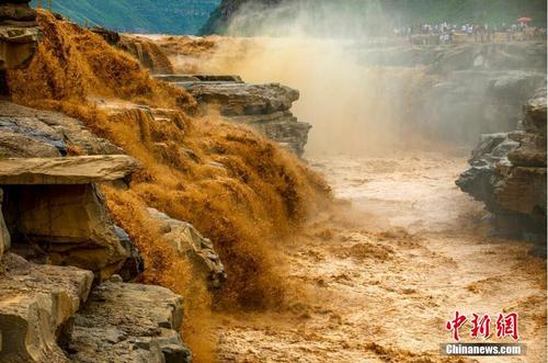 壺口瀑布迎來(lái)“金瀑飛流”觀賞季